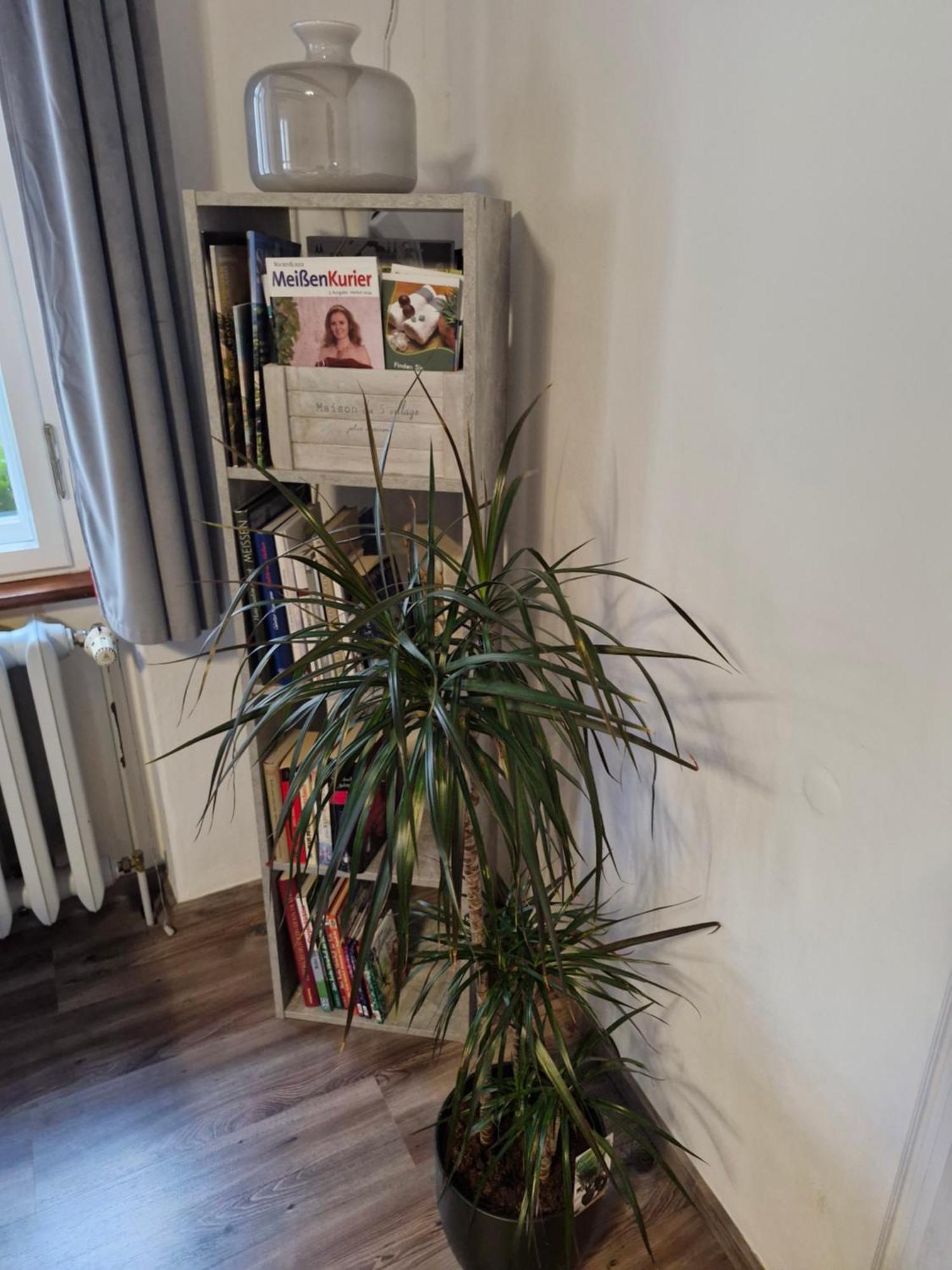 Ferienwohnung Ines Wolf In Der Meissner Innenstadt Meißen Buitenkant foto